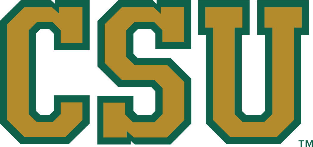 Colorado State Rams 1993-2014 Secondary Logo v2 iron on transfers for fabric